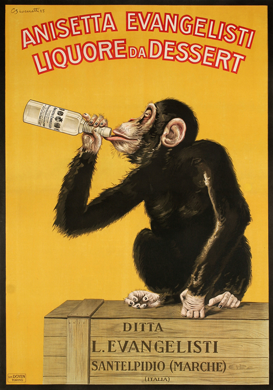 Monkey sitting on wooden crate drinks liquor from the bottle; yellow, brown, red,